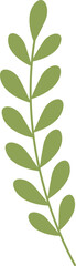 Leaf Illustration