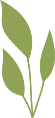 Obraz premium Leaf Illustration