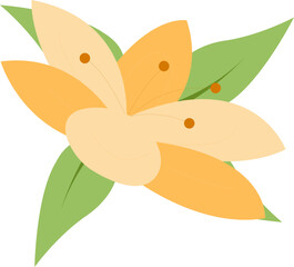 Flower Illustration