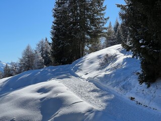 Excellently arranged and cleaned winter trails for walking, hiking, sports and recreation in the area of the tourist resorts of Valbella and Lenzerheide in the Swiss Alps - Switzerland (Schweiz)