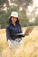 Farmer giving advice on wheat work online on tablet in wheat field