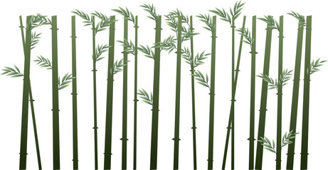 Bamboo grows like a solid wall. Tropical reed beds. Jungle and rainforest of southern latitudes. Cartoon fun style. Flat design. Isolated on white background. Vector.