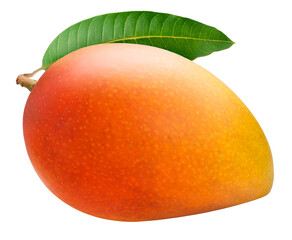 Red Mango fruit on white background, Fresh Mango fruit on White Background  PNG File.