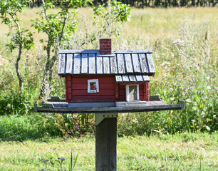 Bird feeder in the garden in summer