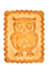 Cookies with the image of an owl on a white background. Cookies close-up.