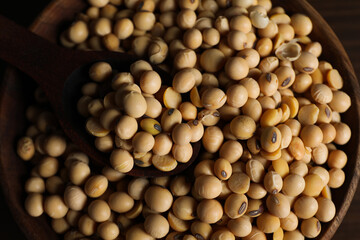 Wooden bowl with soy seeds, close up