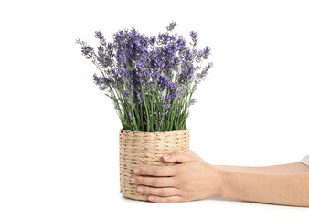 Concept of cozy with flowers, lavender, isolated on white background
