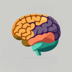 Human brain vector illustration flat style hand drawn