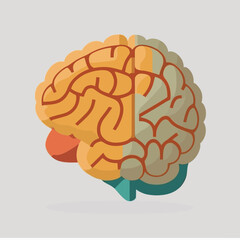 Human brain vector illustration flat style hand drawn