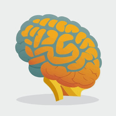 Human brain vector illustration flat style hand drawn