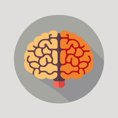 Human brain vector illustration flat style hand drawn