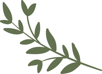 Leaf Illustration