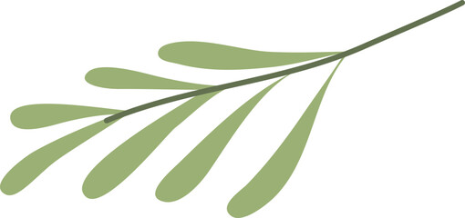 Leaf Illustration