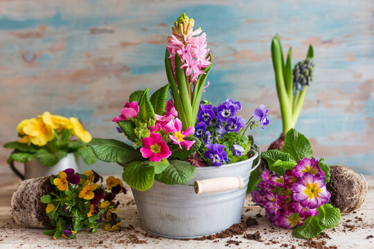  Spring flowers on wooden table