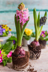  Spring flowers on wooden table