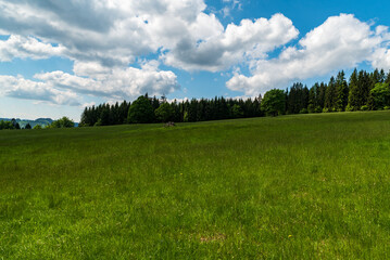Springtime meadow with trees around and blue sky with clouds in Moravskoslezske Beskydy mountains in Czech republic