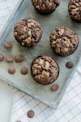 Double Chocolate muffins homemade baked close up selective focus