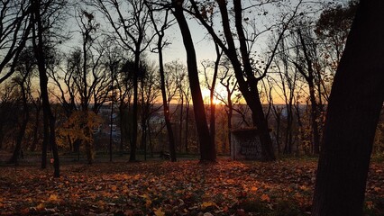 Парк і захід сонця. 