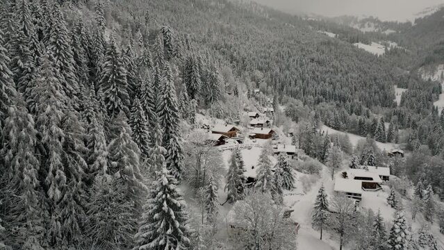 Mountain village cottages in idyllic snowy landscape with trees and snow. Aerial drone view flying along scenic cinematic alpine winter forest in Austria Bavaria alps mountains 4K UHD documentary.