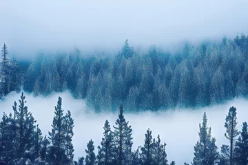 Photo sur Plexiglas Forêt dans le brouillard Stunning Snowy Christmas Trees against a Beautiful Sky.