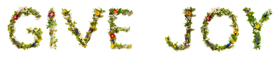 Blooming Flower Letters Building English Text Give Joy