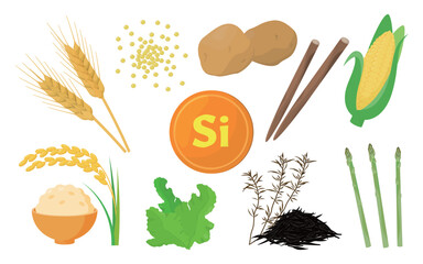 Vector illustration of food containing silicon.