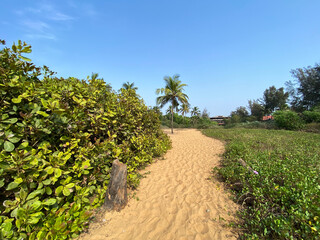 Fototapeta na wymiar A sandy trail to the beach through green tropical countryside in the village of Sinqeurim in Goa.
