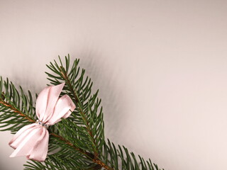 new year tree branches with pink bow on white background. free space for text, wishes. new year, christmas, birthday design