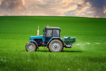 Tractor spreading potash fertilizer on green wheat field. Tractor spray fertilizers on green field,...
