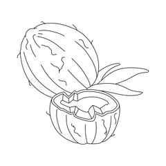 Coconut doodle Vector illustration coloring book for Kids