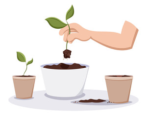 Hand holds sprout. Repotting sprout into a new pot. Homeplant with soil on a transplant mat. Home decor and gardening concept. Cute isolated vector illustration