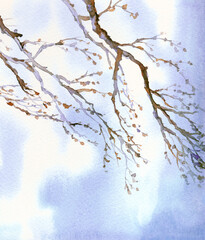 Watercolor landscape. Old bare tree