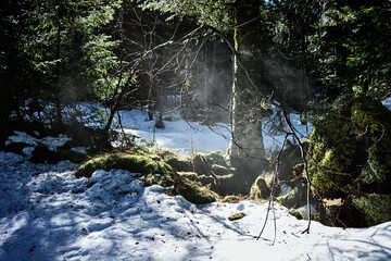 lumière et fonte de la neige dans la forêt