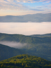 beautiful dawn in mountains with fog in the valley. forested hills covered in morning mist