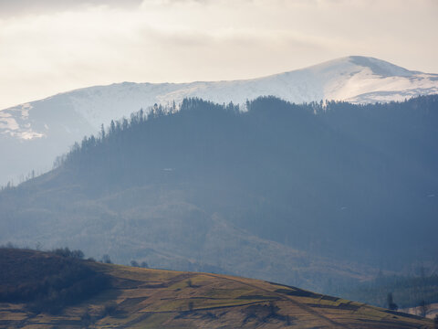 fabulous misty morning scene of mountainous rural area. ukrainian carpathian countryside