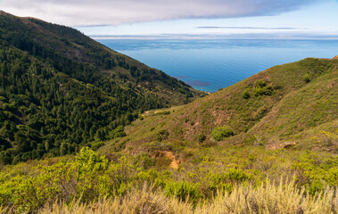 Fototapeta na wymiar Hilly Forests and Vista at Big Sur
