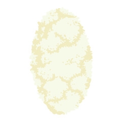 Steamed rice for rice mango stick. Top view, ingredient for menu.