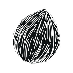 Whole coconut brown and hairy and palm tree coconut products. Cartoon pulp, milk and coconut shell.