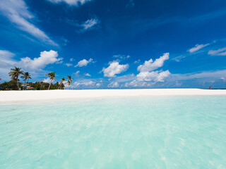 Fototapeta amazing tropical beach background white sand and clear blue water obraz