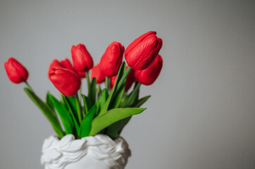 a bouquet of red tulips on a white background
