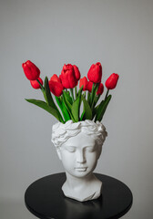 a bouquet of red tulips on a white background