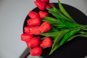a bouquet of red tulips on a white background