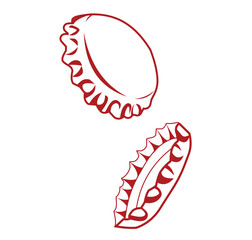 beer cap bottle outlined