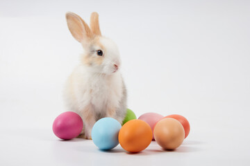 young baby rabbit with easter eggs on white background