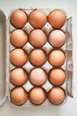 Eggs set. Many food protein. Colorful bright on background. Hard shadow. Easter sun box. Carton organic concept. Traditional cuisine top view. Flatlay