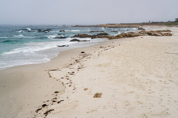 17 Mile Drive's Sandy Ocean