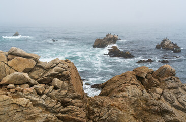 Morning Wake at 17 Mile Drive