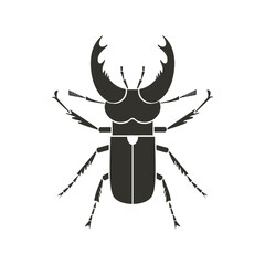 Stag Beetle with fantasy pattern. Geometric Insect icon. Decorative ornate vector illustration.