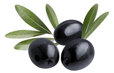 Delicious black olives with leaves, cut out - obrazy, fototapety, plakaty