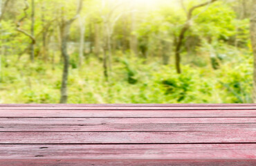 Fototapeta na wymiar Wooden table top with natural green blurred background or various leaves, fresh bright sunlight, product empty concept.